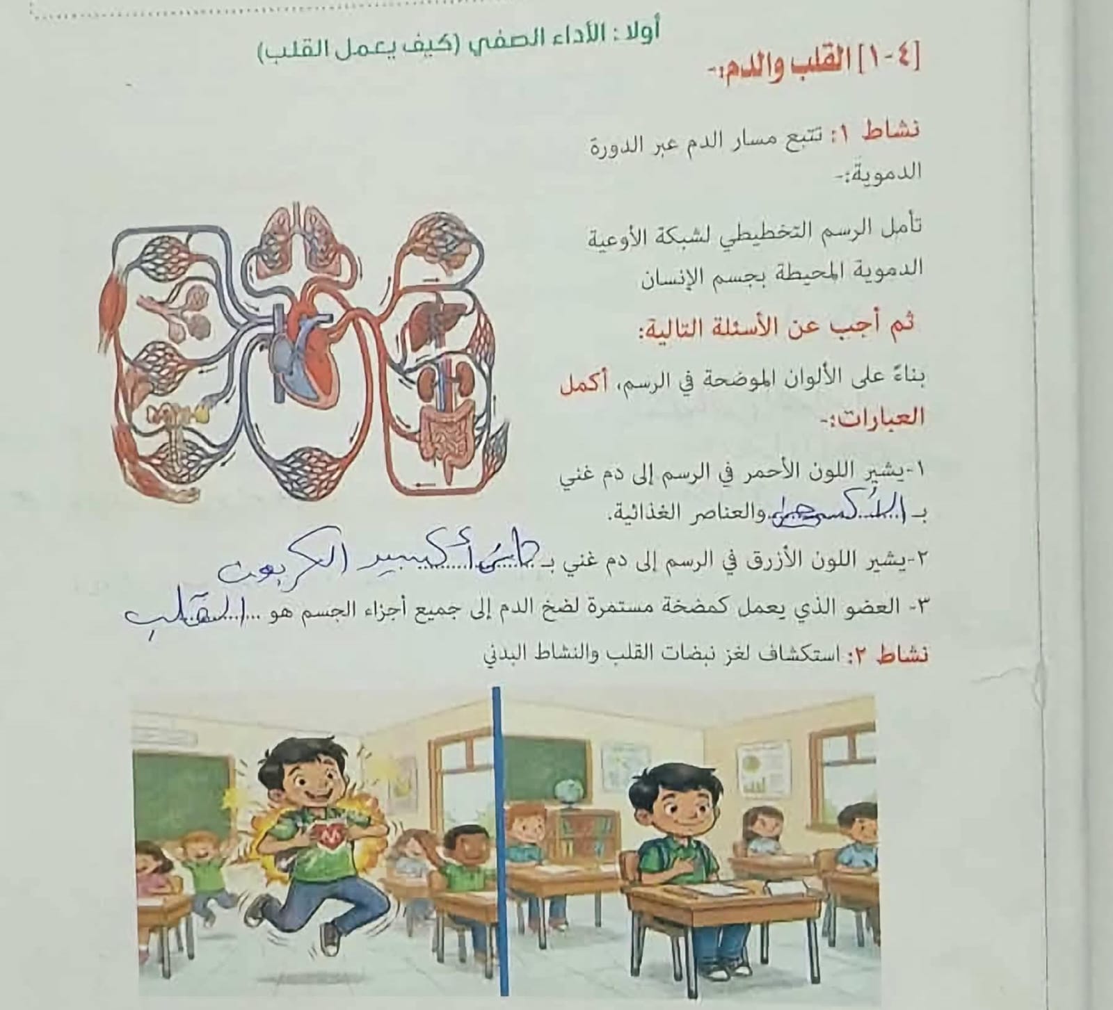 حل تقييمات علوم
